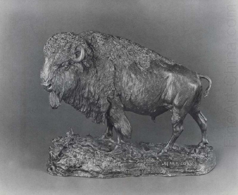 Buffalo, Henry Merwin Shrady